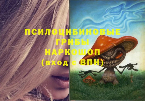 PSILOCYBIN Белокуриха