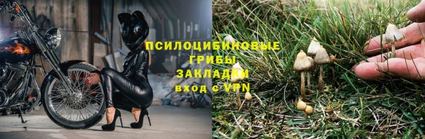прущие крисы Беломорск