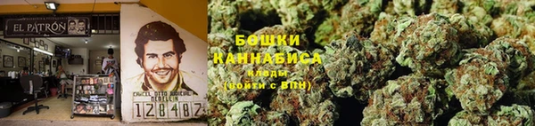 PSILOCYBIN Белокуриха