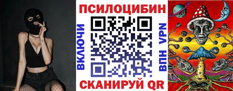 Псилоцибиновые грибы MAGIC MUSHROOMS  купить наркотики цена  Купино 