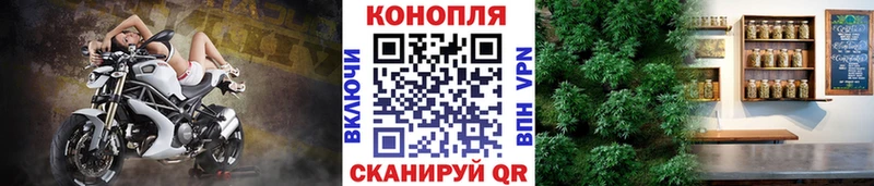 Шишки марихуана планчик  Купино 